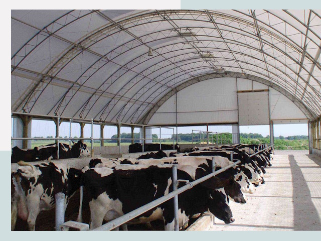 Тентовые коровники в прохладном